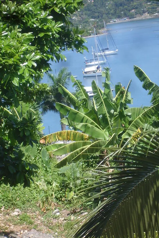 Couette-café Finjam Cottage Port Antonio